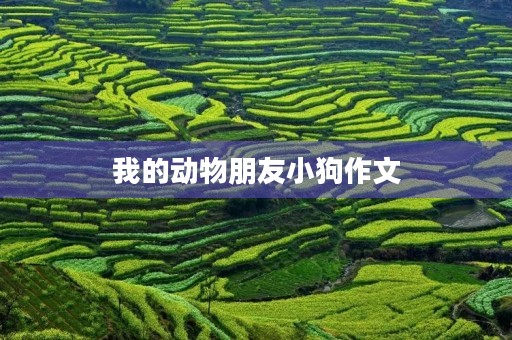 我的动物朋友小狗作文 我的动物朋友小狗作文