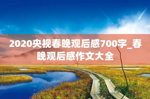 2020央视春晚观后感700字_春晚观后感作文大全 2020央视春晚观后感700字_春晚观后感作文大全