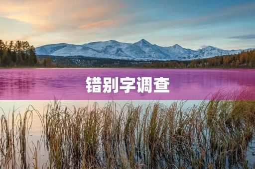 错别字调查 错别字调查