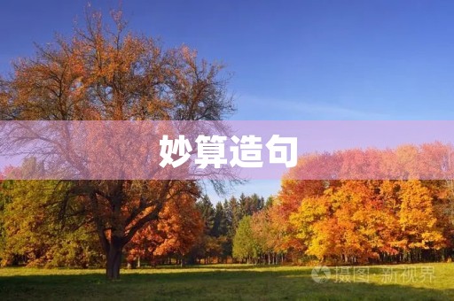 妙算造句