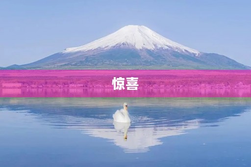 惊喜 惊喜