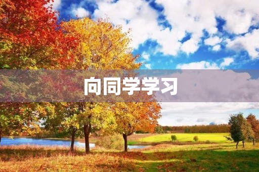 向同学学习 向同学学习