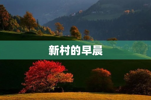 新村的早晨 新村的早晨