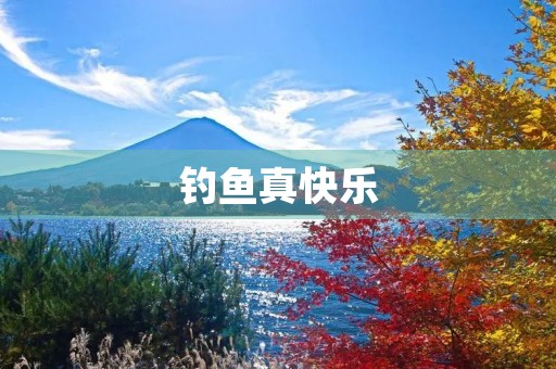 钓鱼真快乐