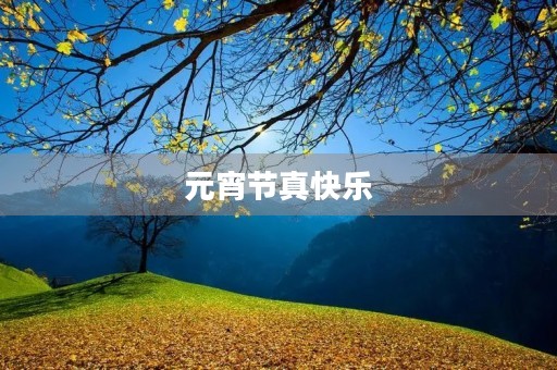 元宵节真快乐 元宵节真快乐