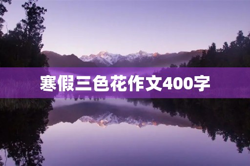 寒假三色花作文400字