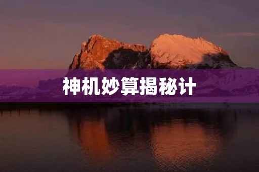 神机妙算揭秘计