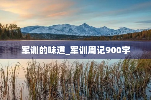 军训的味道_军训周记900字