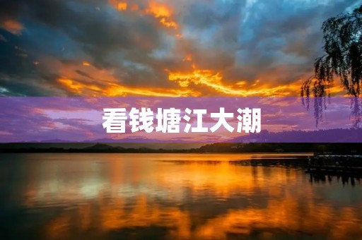 看钱塘江大潮 看钱塘江大潮