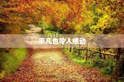 平凡也令人感动 平凡也令人感动