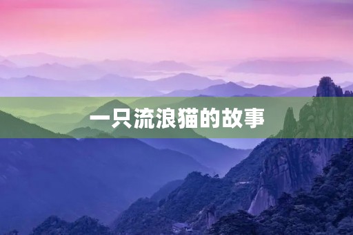 一只流浪猫的故事 一只流浪猫的故事