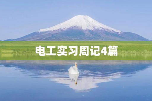 电工实习周记4篇 电工实习周记4篇
