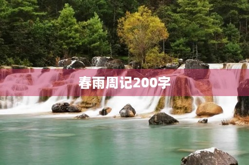 春雨周记200字