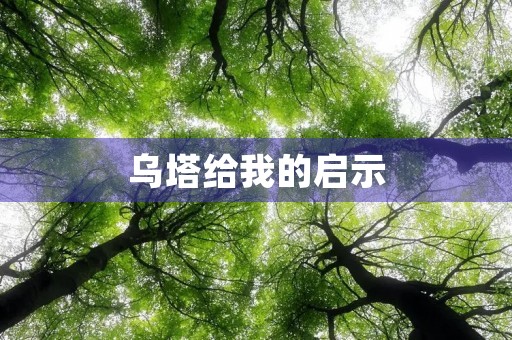 乌塔给我的启示