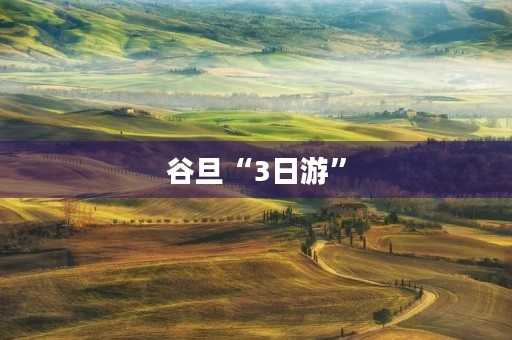谷旦“3日游”