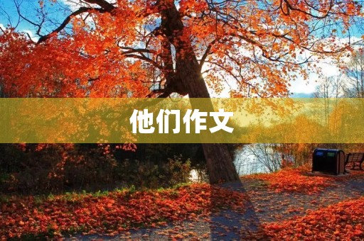 他们作文