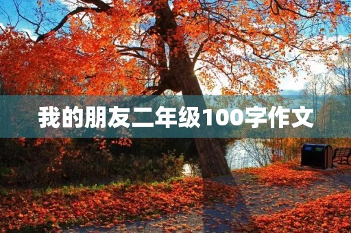 我的朋友二年级100字作文