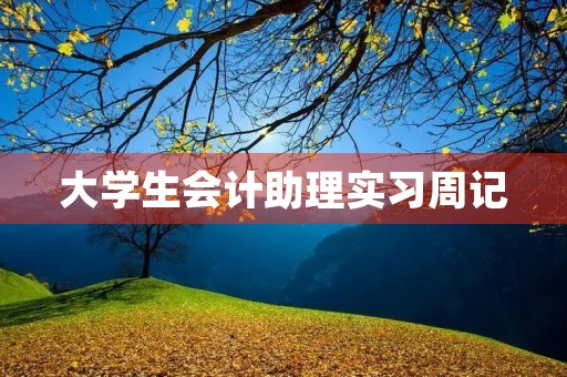 大学生会计助理实习周记 大学生会计助理实习周记