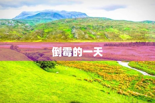 倒霉的一天 倒霉的一天
