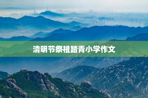 清明节祭祖踏青小学作文
