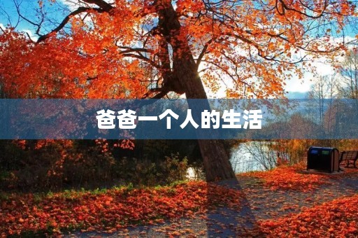 爸爸一个人的生活 爸爸一个人的生活