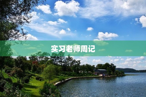 实习老师周记