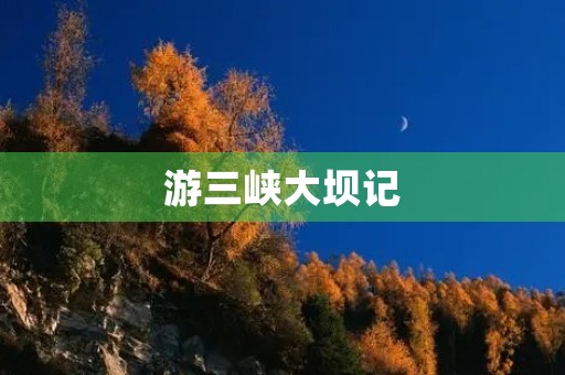 游三峡大坝记 游三峡大坝记