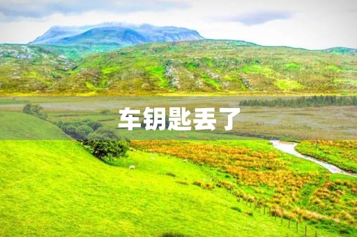 车钥匙丢了