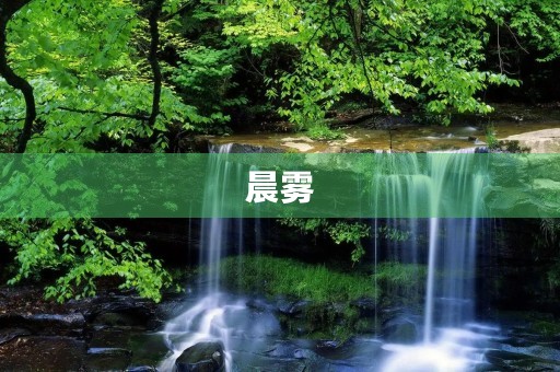 晨雾 晨雾