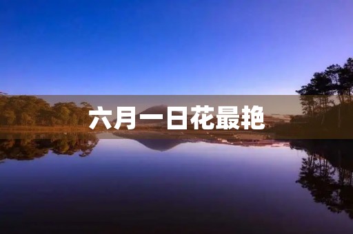 六月一日花最艳 六月一日花最艳