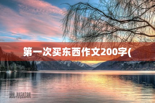 第一次买东西作文200字( 第一次买东西作文200字(