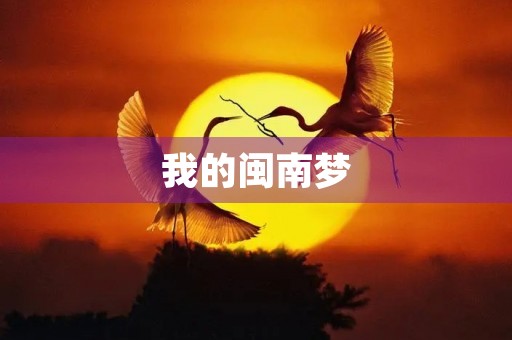 我的闽南梦 我的闽南梦