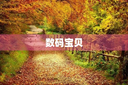 数码宝贝 数码宝贝
