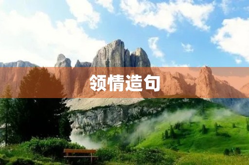 领情造句