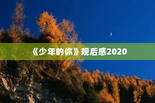 《少年的你》观后感2020 《少年的你》观后感2020
