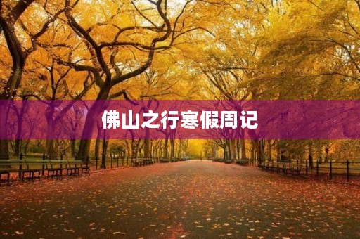 佛山之行寒假周记