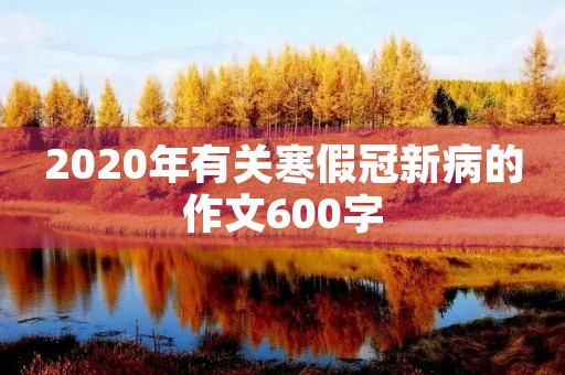 2020年有关寒假冠新病的作文600字