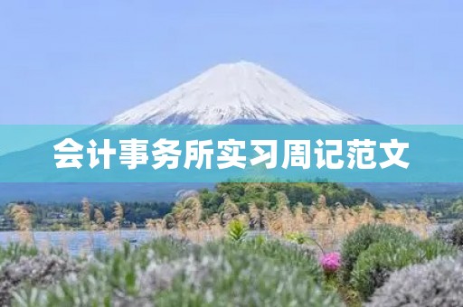 会计事务所实习周记范文 会计事务所实习周记范文