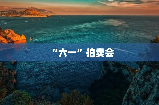 “六一”拍卖会 “六一”拍卖会