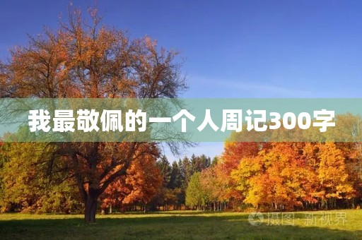 我最敬佩的一个人周记300字 我最敬佩的一个人周记300字