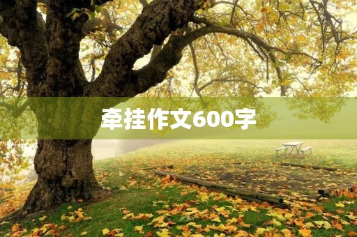 牵挂作文600字 牵挂作文600字