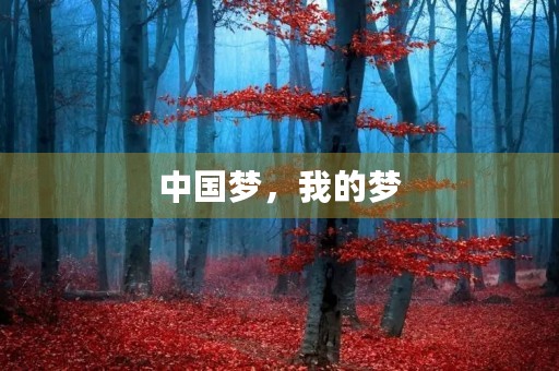 中国梦,我的梦 中国梦,我的梦
