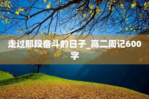 走过那段奋斗的日子_高二周记600字