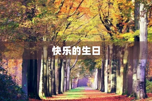 快乐的生日 快乐的生日