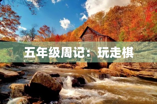五年级周记:玩走棋 五年级周记:玩走棋