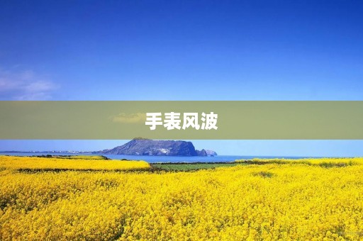 手表风波 手表风波