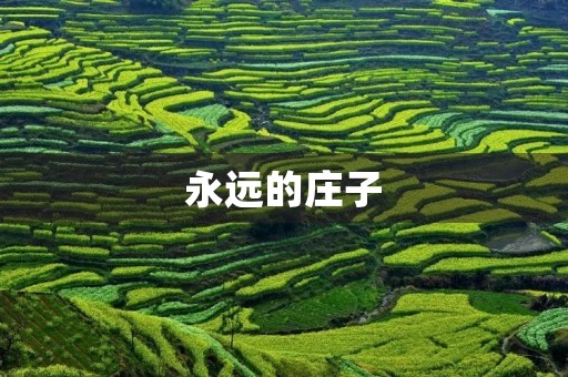 永远的庄子 永远的庄子