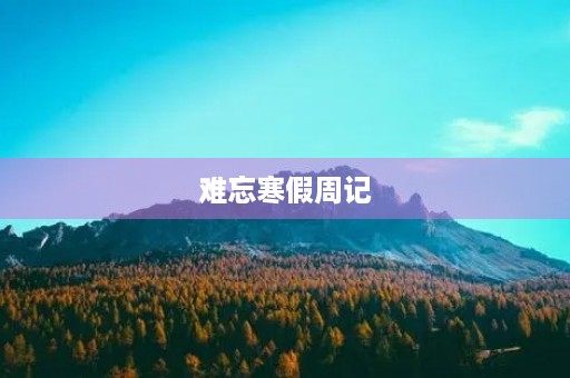 难忘寒假周记