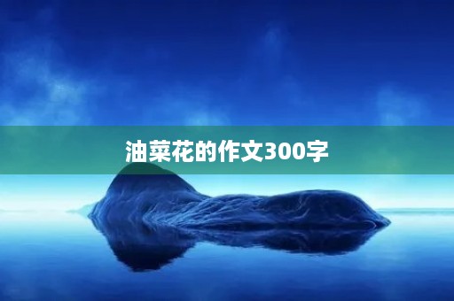 油菜花的作文300字