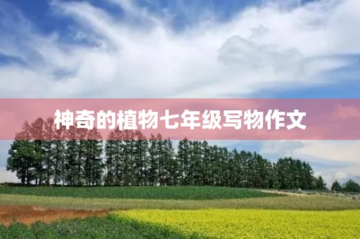 神奇的植物七年级写物作文 神奇的植物七年级写物作文